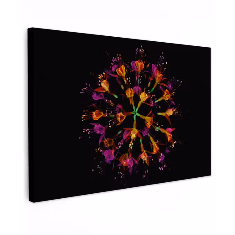 Bloemen - Oranje - Roze - Zwart Tuinposter op houten frame 2 cm dik klein -3d