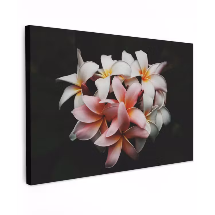 Bloemen - Roze - Zwart - Flora - Botanisch Tuinposter op houten frame 2 cm dik klein -3d