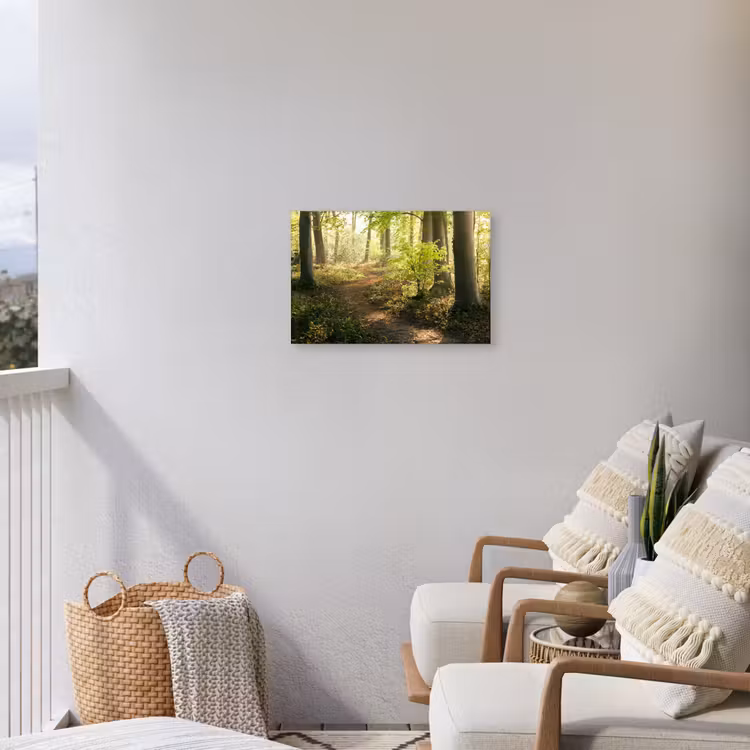 Bospad bij zonsopgang Tuinposter op houten frame 2 cm dik klein -sfeer1