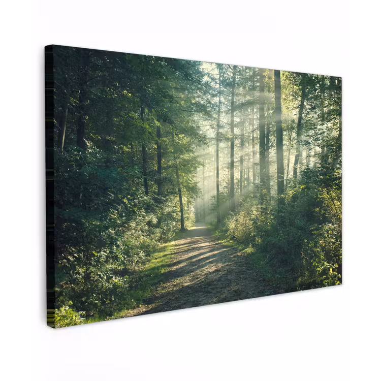 Bos - Pad - Zon - Bomen - Groen - Natuur Tuinposter op houten frame 2 cm dik klein -3d