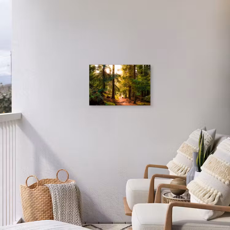 Bos - Pad - Bomen - Groen - Zon - Natuur Tuinposter op houten frame 2 cm dik klein -sfeer1