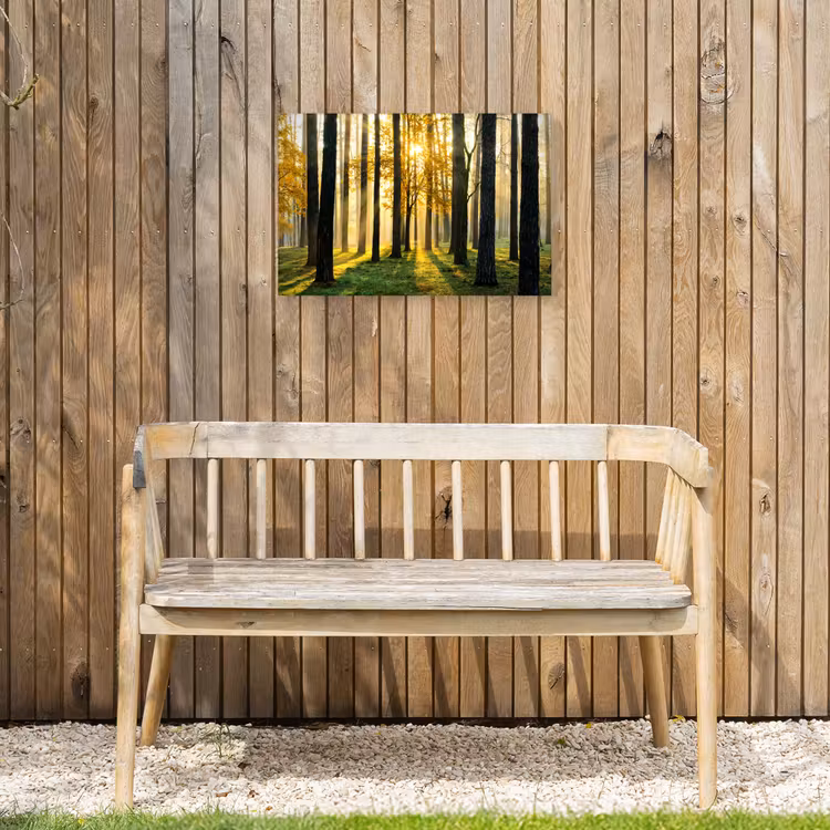 Bos - Zon - Bomen - Gras - Landschap - Natuur Tuinposter op houten frame 2 cm dik klein -sfeer4