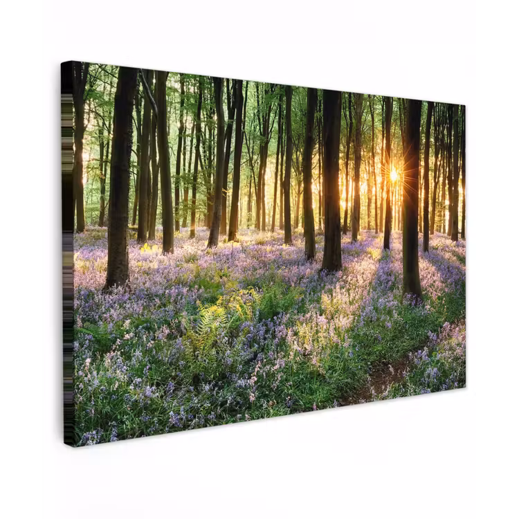 Bos met blauwe hyacinten bij zonsopgang Tuinposter op houten frame 2 cm dik klein -3d