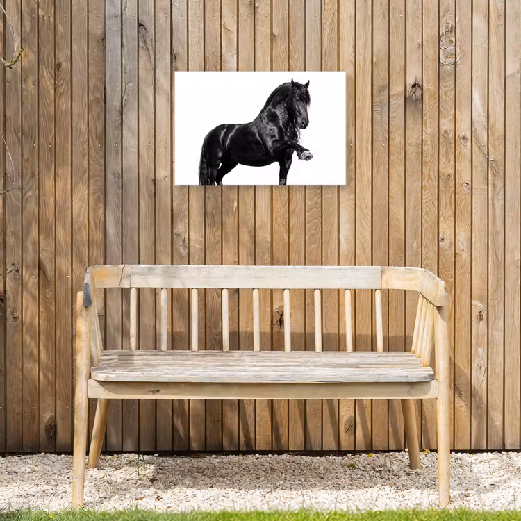 Fries - Hengst - Modern Tuinposter op houten frame 2 cm dik klein -sfeer4