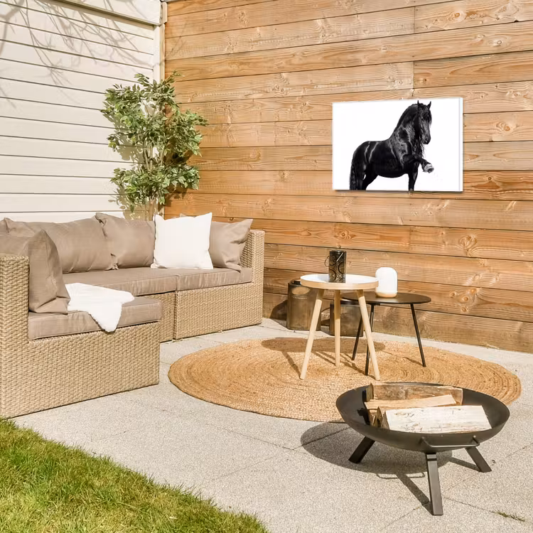 Fries - Hengst - Modern Tuinposter op houten frame 2 cm dik klein -sfeer2