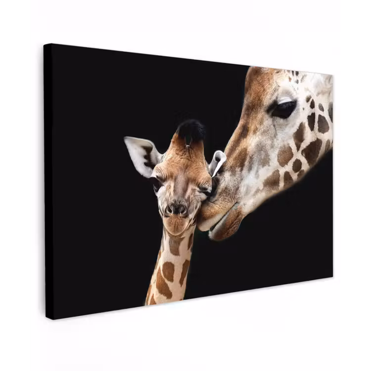 Giraffe - Dieren - Zwart - Portret - Dieren Tuinposter op houten frame 2 cm dik klein -3d