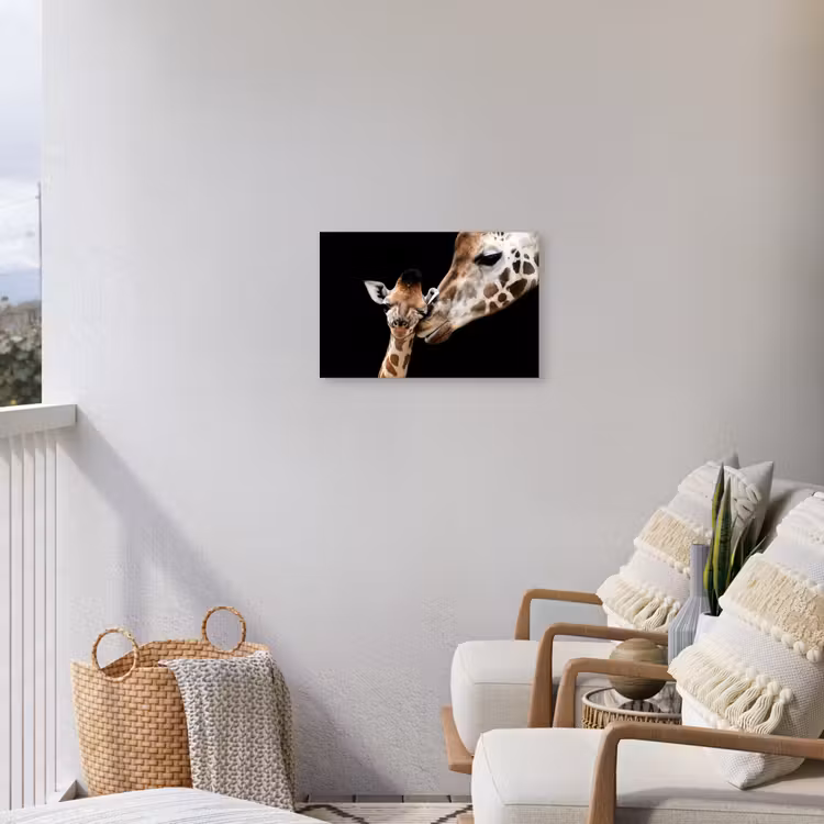Giraffe - Dieren - Zwart - Portret - Dieren Tuinposter op houten frame 2 cm dik klein -sfeer1