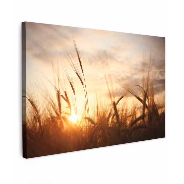 Gouden Graanveld bij Zonsopgang Tuinposter op houten frame 2 cm dik klein -3d
