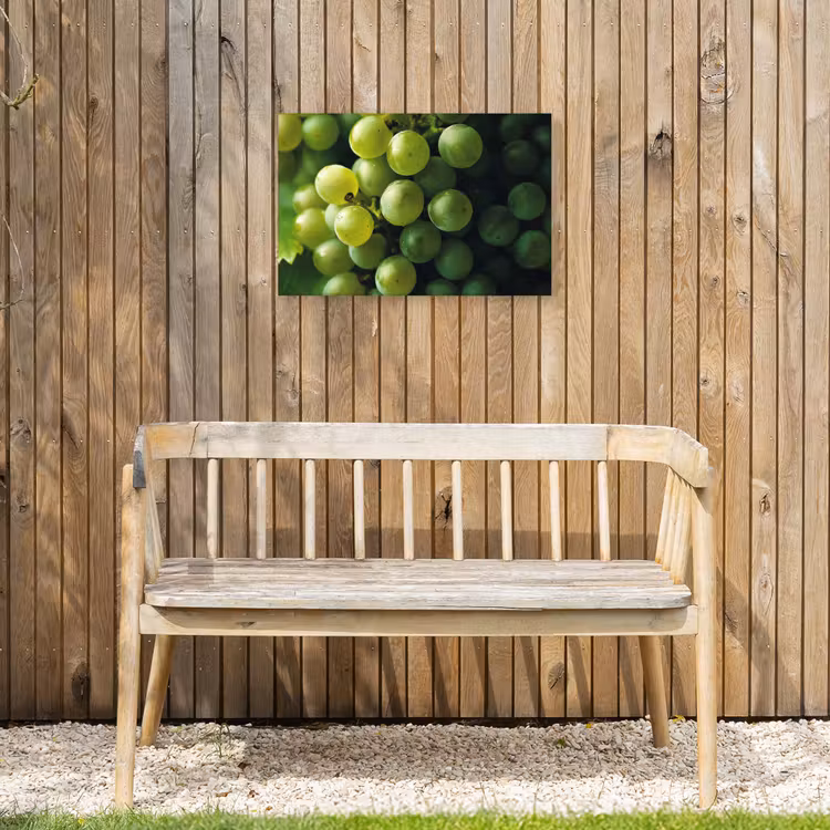 Druiven - Tros - Groen Tuinposter op houten frame 2 cm dik klein -sfeer4