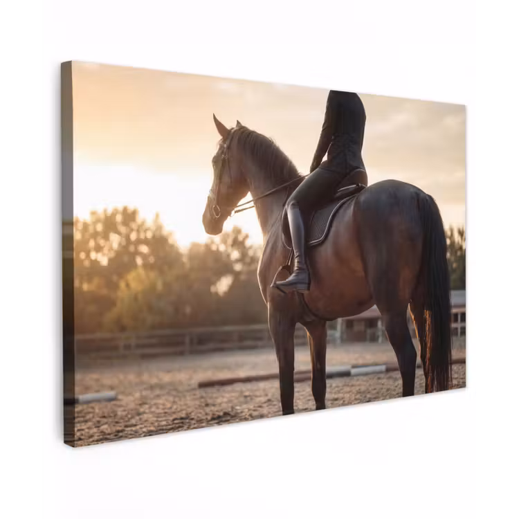 Harmonie - Ruiter - Zon Tuinposter op houten frame 2 cm dik klein -3d