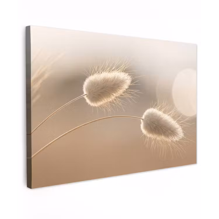 Hazestaartgras - Graanharen - Zonlicht Tuinposter op houten frame 2 cm dik klein -3d