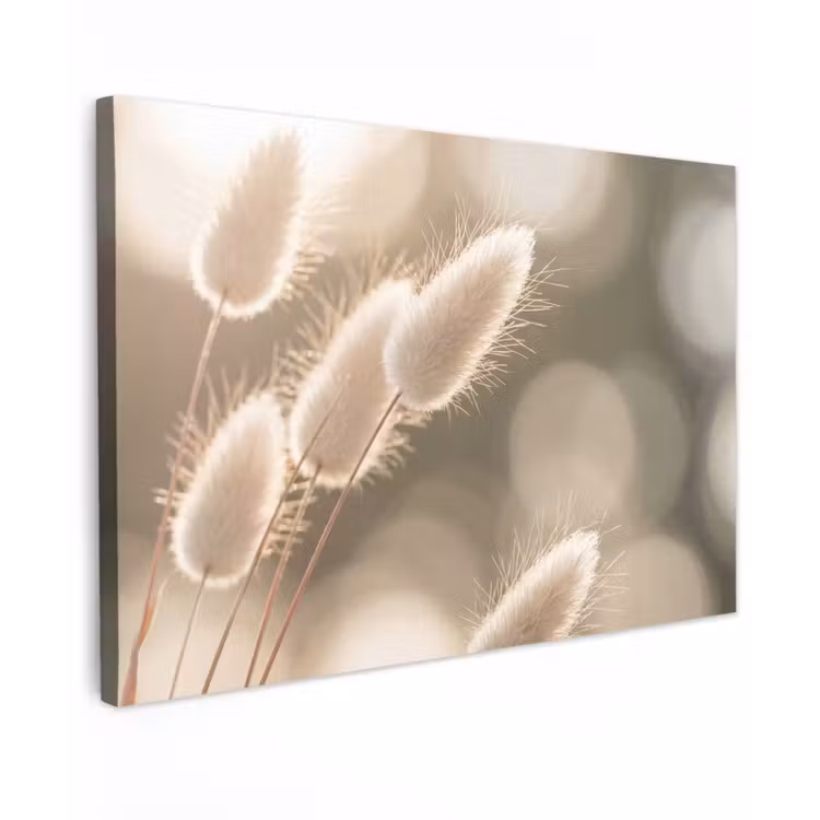 Hazestaartgras - Wit - Zonlicht Tuinposter op houten frame 2 cm dik klein -3d
