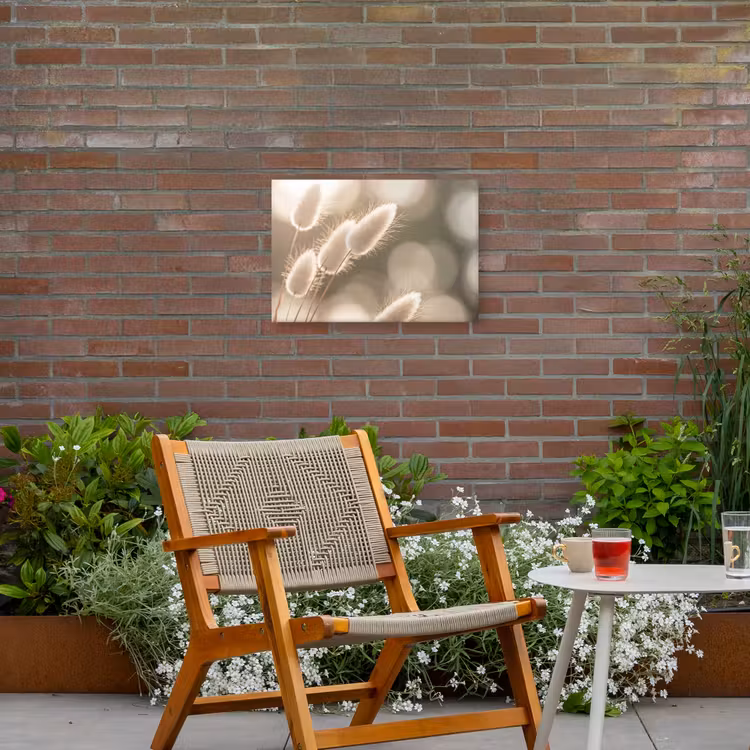 Hazestaartgras - Wit - Zonlicht Tuinposter op houten frame 2 cm dik klein -sfeer3