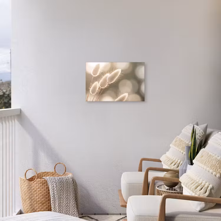 Hazestaartgras - Wit - Zonlicht Tuinposter op houten frame 2 cm dik klein -sfeer1