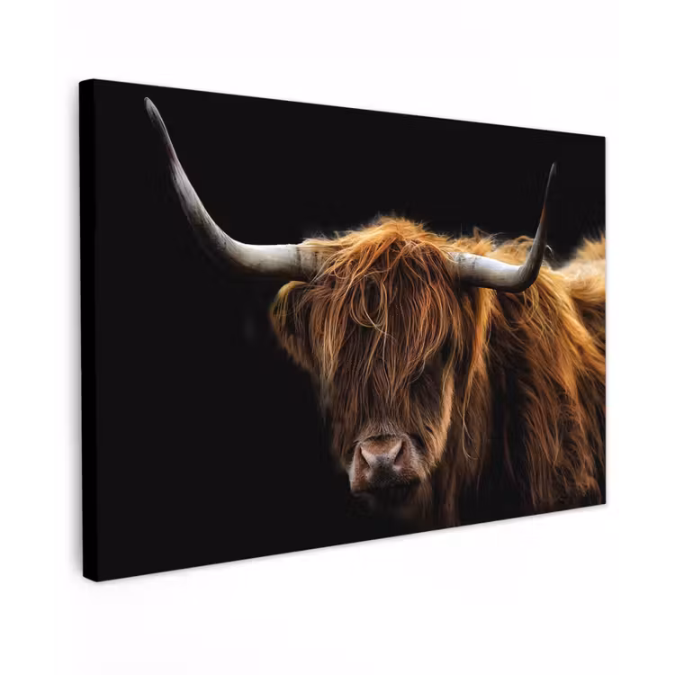 Hooglander tegen Zwarte Achtergrond Tuinposter op houten frame 2 cm dik klein -3d