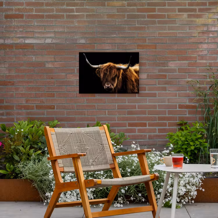 Hooglander tegen Zwarte Achtergrond Tuinposter op houten frame 2 cm dik klein -sfeer3