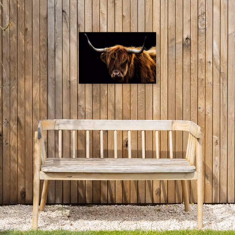 Hooglander tegen Zwarte Achtergrond Tuinposter op houten frame 2 cm dik klein -sfeer4