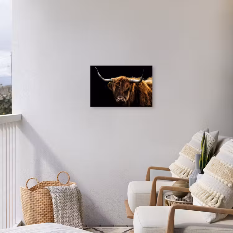 Hooglander tegen Zwarte Achtergrond Tuinposter op houten frame 2 cm dik klein -sfeer1