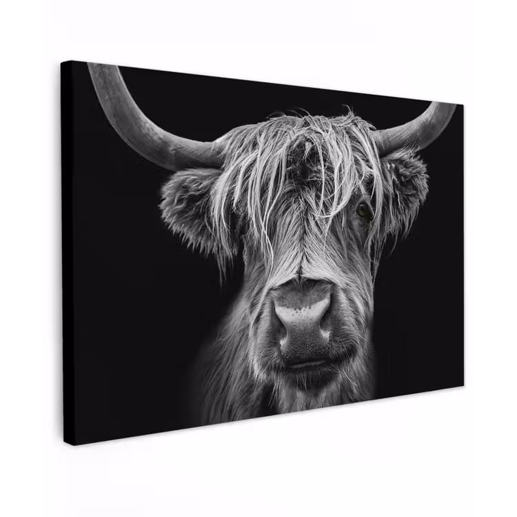 Hooglander in Zwart-Wit Tuinposter op houten frame 2 cm dik klein -3d