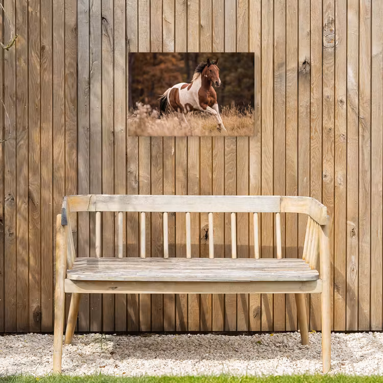 Paard - Bruin - Gras Tuinposter op houten frame 2 cm dik klein -sfeer4