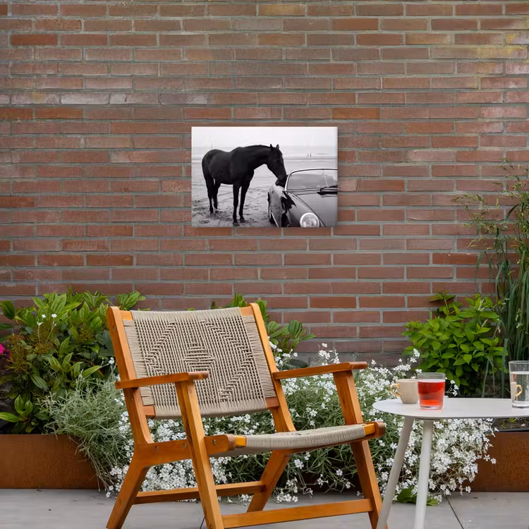 Paard - Auto - Zwart - Wit Tuinposter op houten frame 2 cm dik klein -sfeer3