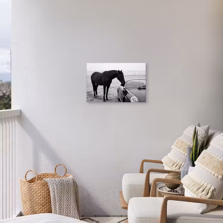Paard - Auto - Zwart - Wit Tuinposter op houten frame 2 cm dik klein -sfeer1