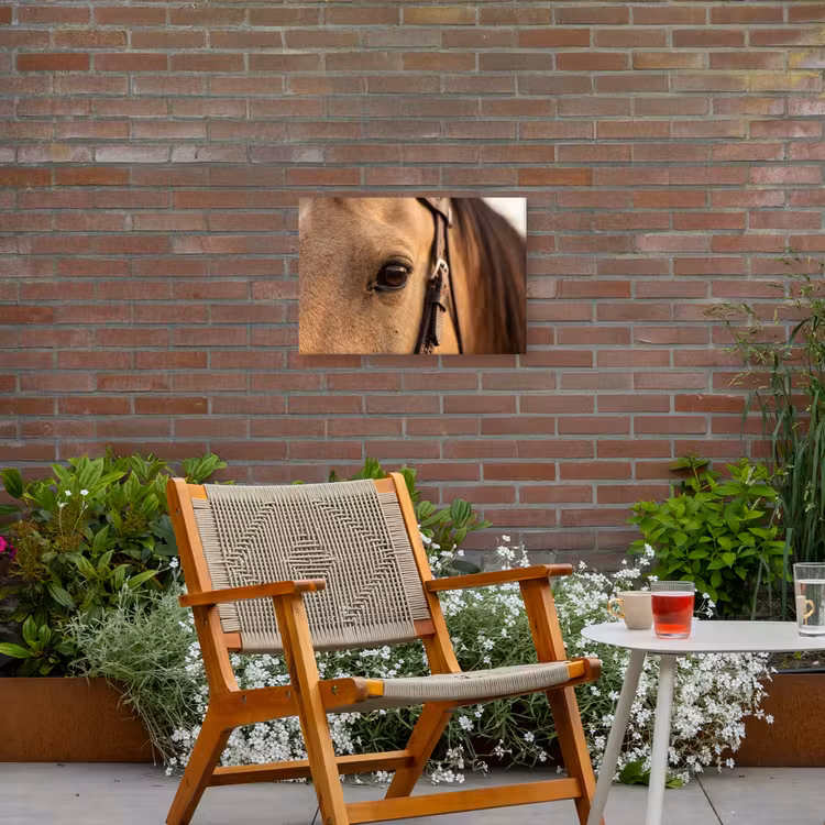 Paard - Oog - Bruin Tuinposter op houten frame 2 cm dik klein -sfeer3