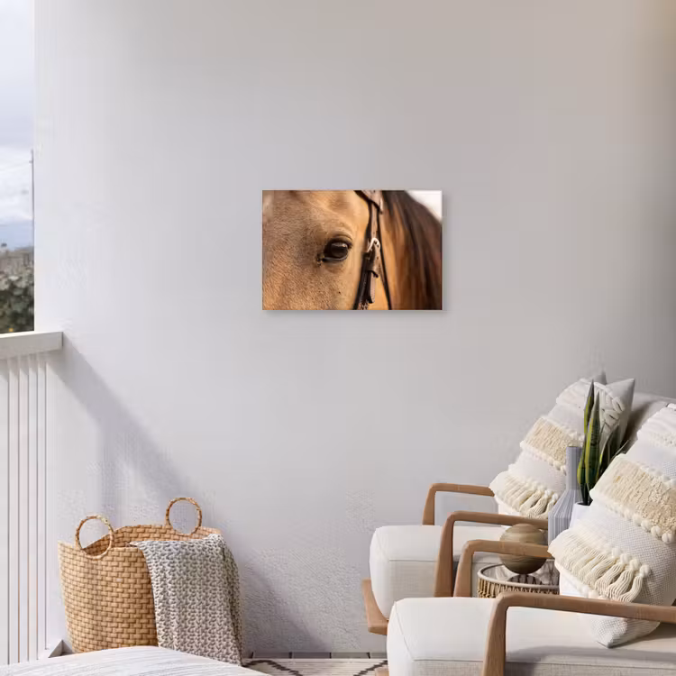 Paard - Oog - Bruin Tuinposter op houten frame 2 cm dik klein -sfeer1