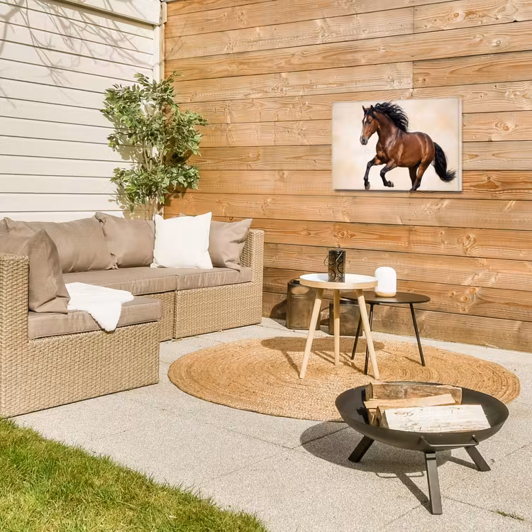 Paard - Galop - Energie Tuinposter op houten frame 2 cm dik klein -sfeer2