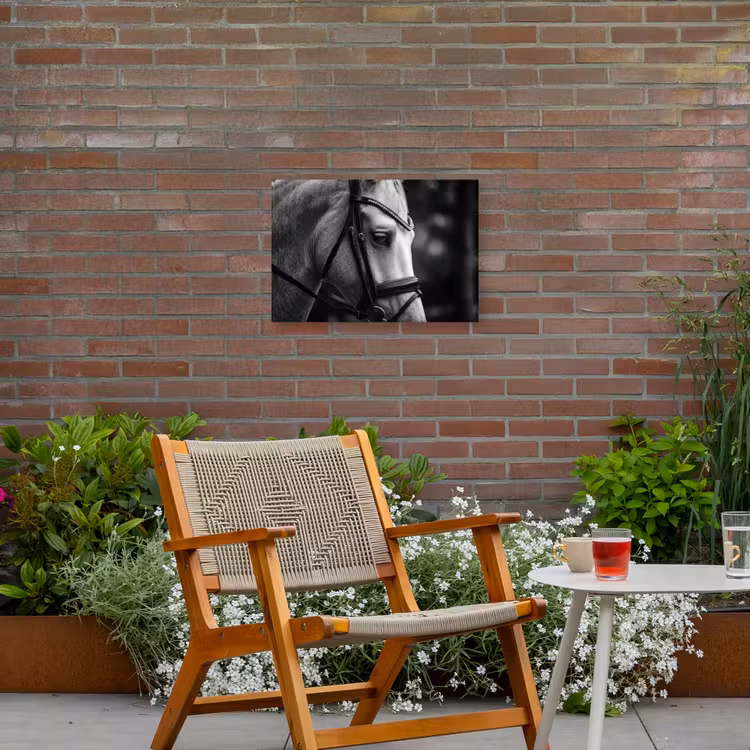Paard - Schimmel - Portret Tuinposter op houten frame 2 cm dik klein -sfeer3