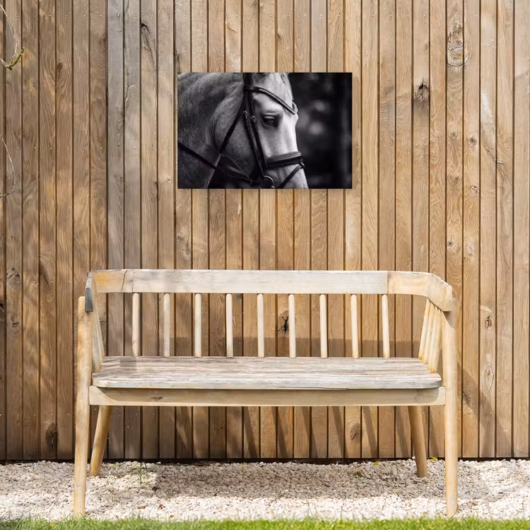 Paard - Schimmel - Portret Tuinposter op houten frame 2 cm dik klein -sfeer4