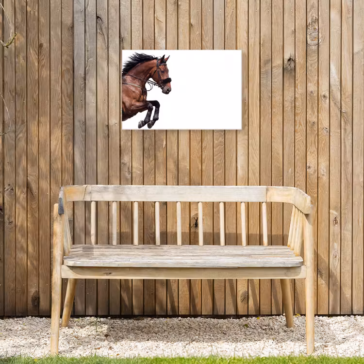 Paard - Springen - Modern Tuinposter op houten frame 2 cm dik klein -sfeer4
