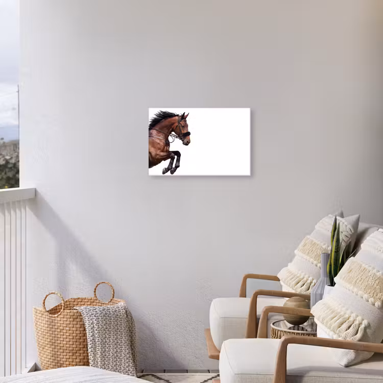 Paard - Springen - Modern Tuinposter op houten frame 2 cm dik klein -sfeer1