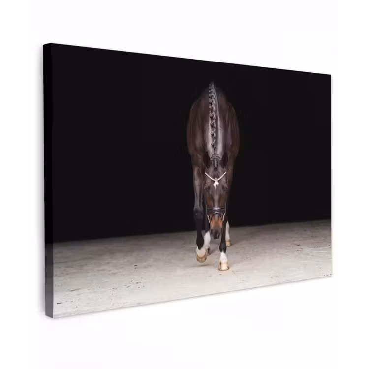 Paard - Modern - Portret Tuinposter op houten frame 2 cm dik klein -3d