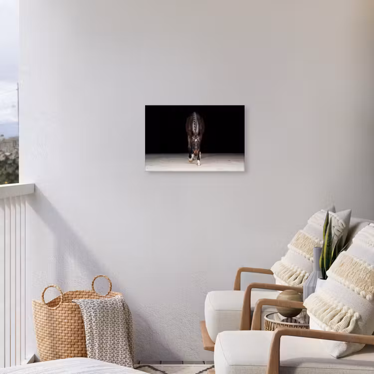Paard - Modern - Portret Tuinposter op houten frame 2 cm dik klein -sfeer1