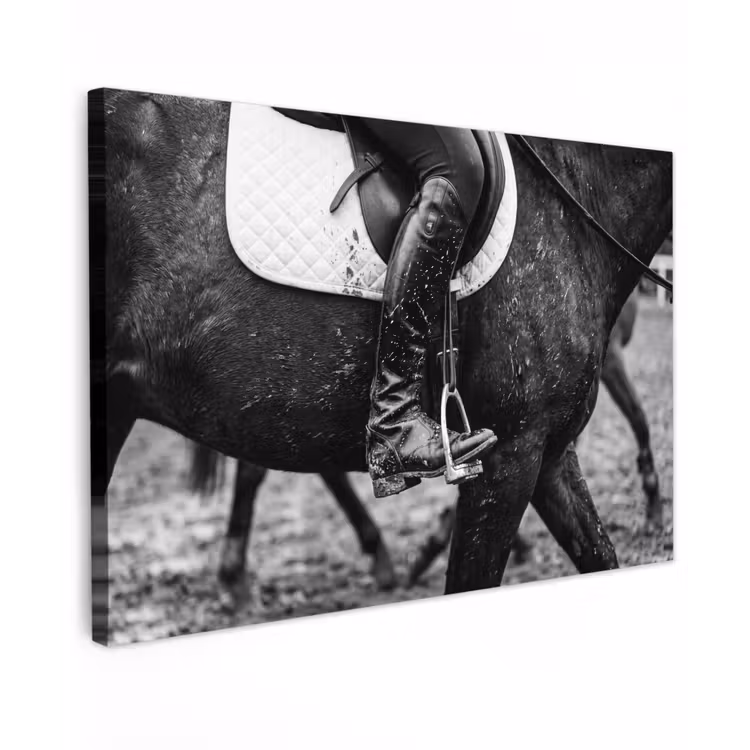 Paard - Sport - Zwart - Wit Tuinposter op houten frame 2 cm dik klein -3d