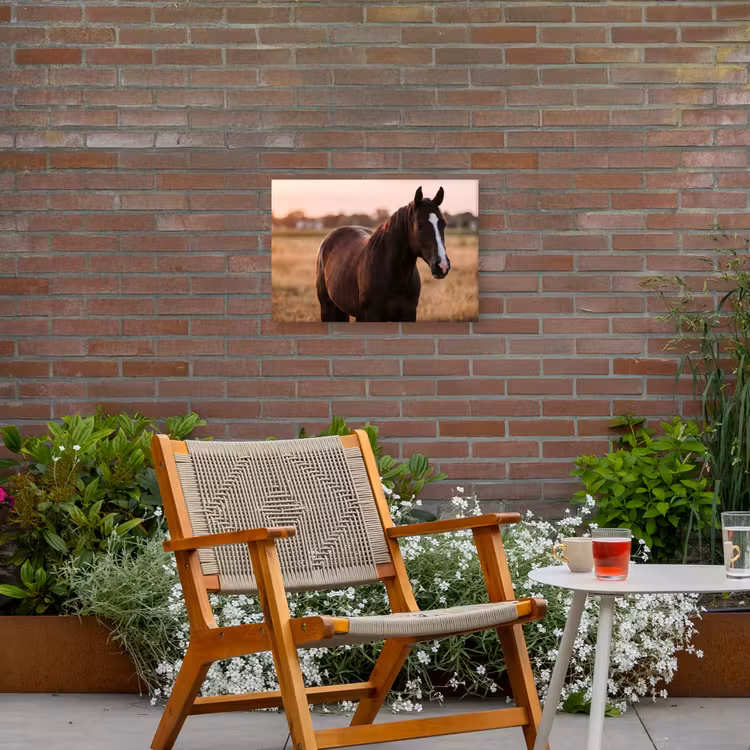 Paard - Zonsondergang - Bruin Tuinposter op houten frame 2 cm dik klein -sfeer3