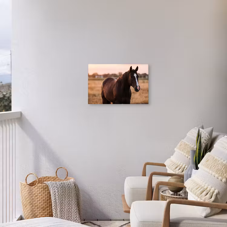 Paard - Zonsondergang - Bruin Tuinposter op houten frame 2 cm dik klein -sfeer1