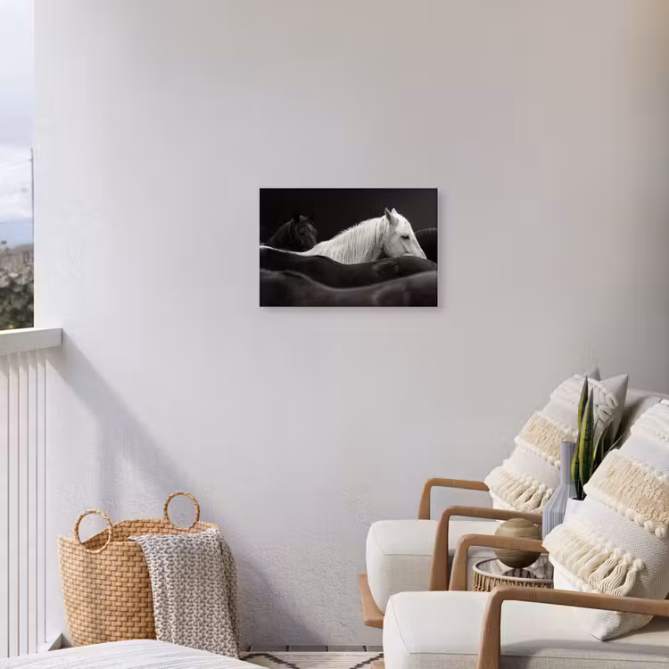Paarden - Zwart - Wit - Kudde Tuinposter op houten frame 2 cm dik klein -sfeer1