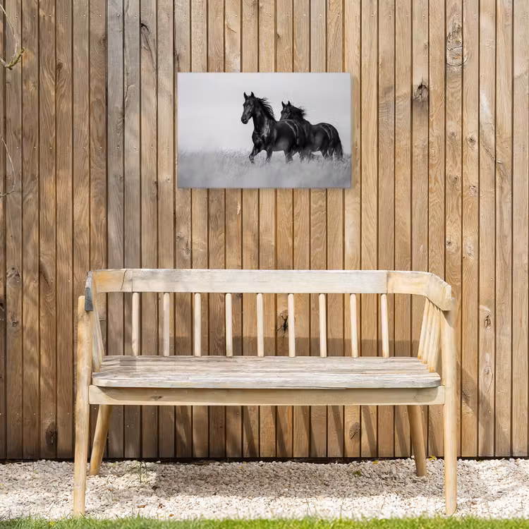 Paarden - Gras - Zwart - Wit Tuinposter op houten frame 2 cm dik klein -sfeer4