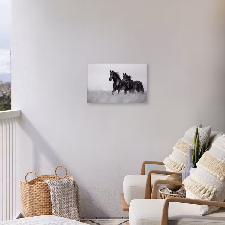 Paarden - Gras - Zwart - Wit Tuinposter op houten frame 2 cm dik klein -sfeer1