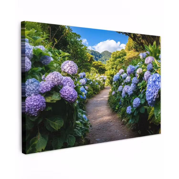 Hortsensia - Pad - Bloemen Tuinposter op houten frame 2 cm dik klein -3d