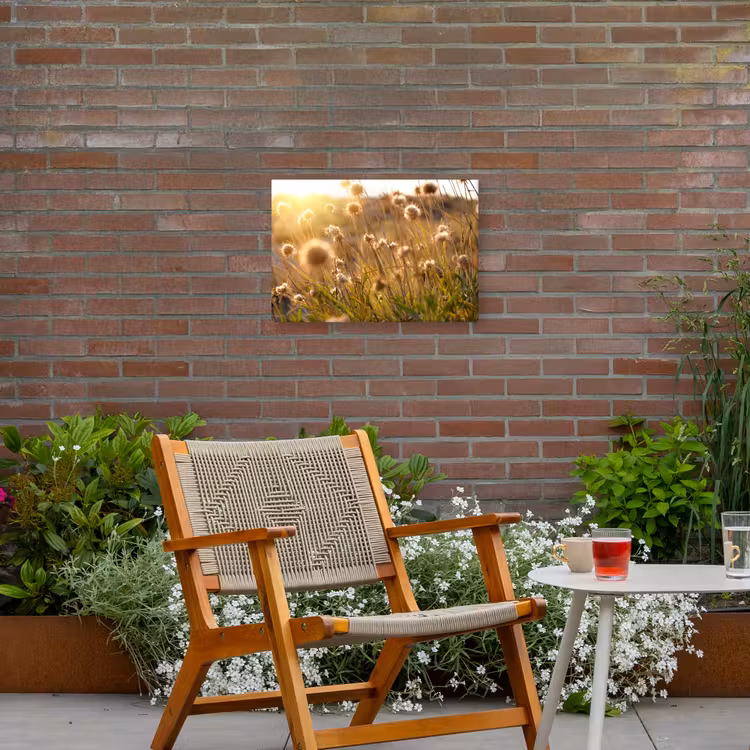 Verlichte zaadhoofden in de avondzon Tuinposter op houten frame 2 cm dik klein -sfeer3