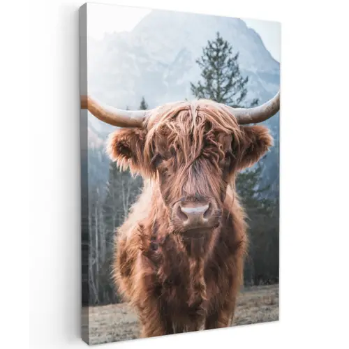Imposante Hooglander in de Natuur Tuinposter op houten frame 2 cm dik klein -3d