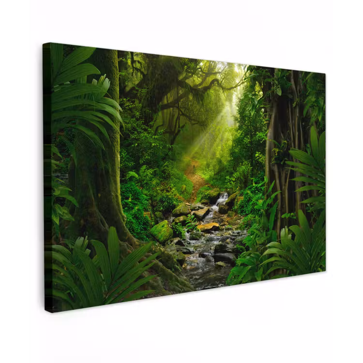 Jungle - Water - Bladeren - Zon - Natuur Tuinposter op houten frame 2 cm dik klein -3d