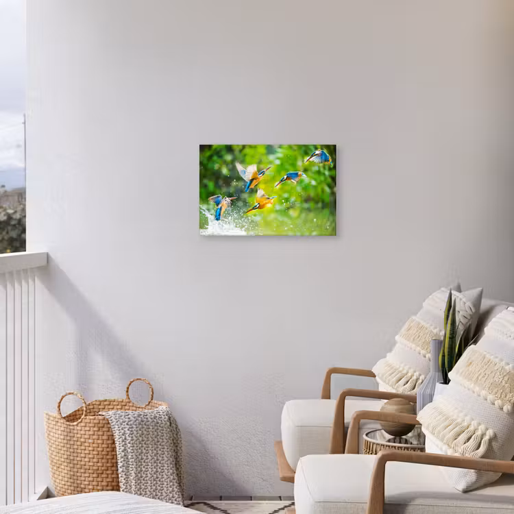 IJsvogels vliegen in het water Tuinposter op houten frame 2 cm dik klein -sfeer1