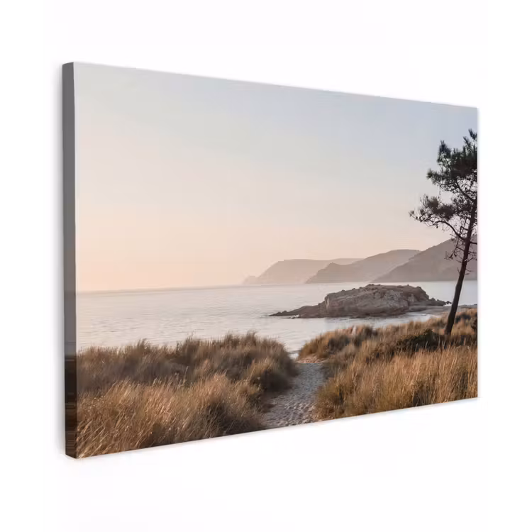 Landschap - Kust - Duinen Tuinposter op houten frame 2 cm dik klein -3d