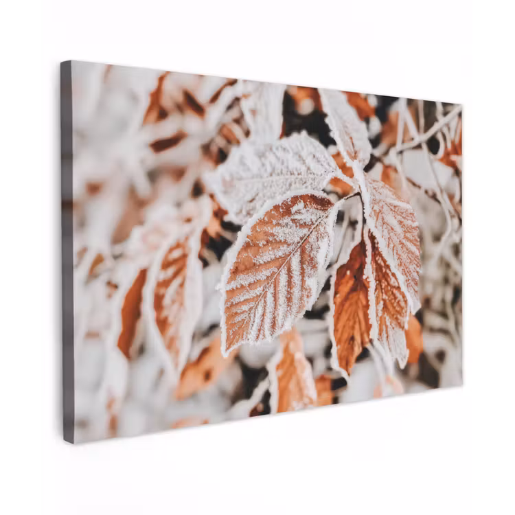 Bladeren - IJs - Winter - Natuur Tuinposter op houten frame 2 cm dik klein -3d