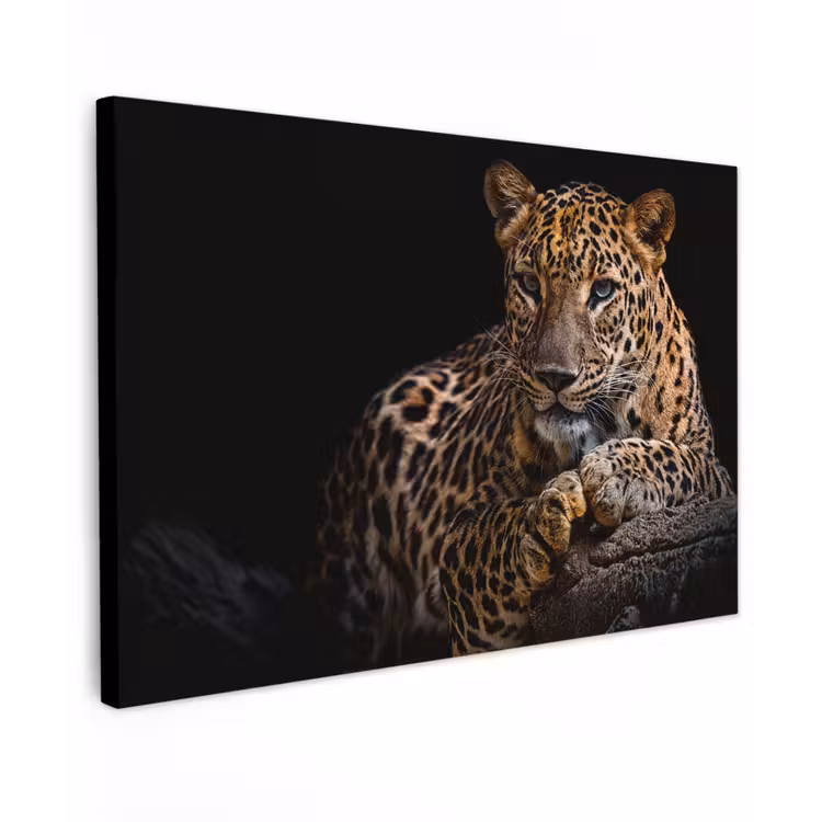 Luipaard in rust Tuinposter op houten frame 2 cm dik klein -3d