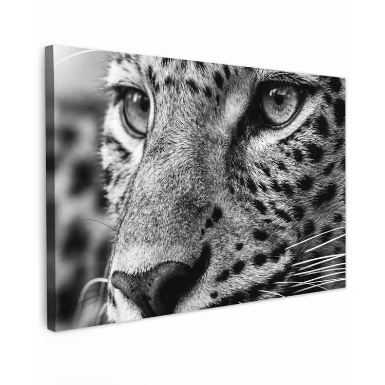 Luipaard - Zwart - Wit - Oog Tuinposter op houten frame 2 cm dik klein -3d